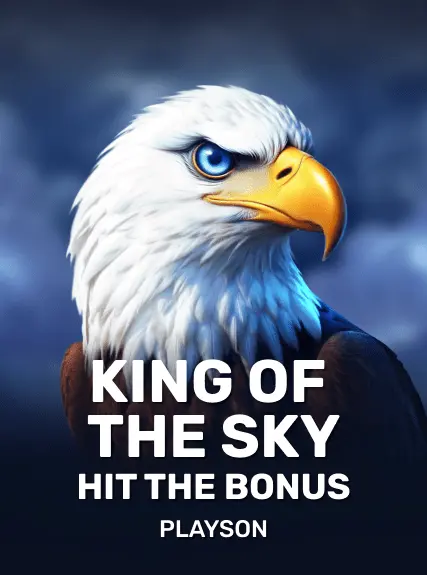 King of the Sky: Hit the Bonus game tile